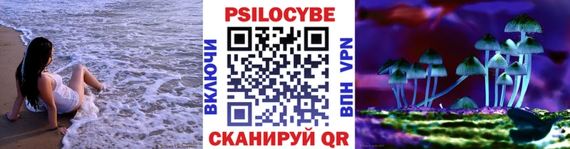 Псилоцибиновые грибы GOLDEN TEACHER Белая Холуница